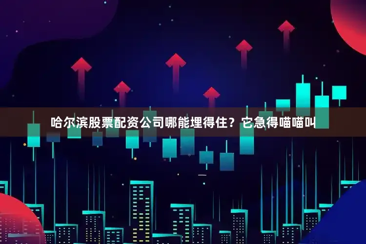 哈尔滨股票配资公司哪能埋得住？它急得喵喵叫